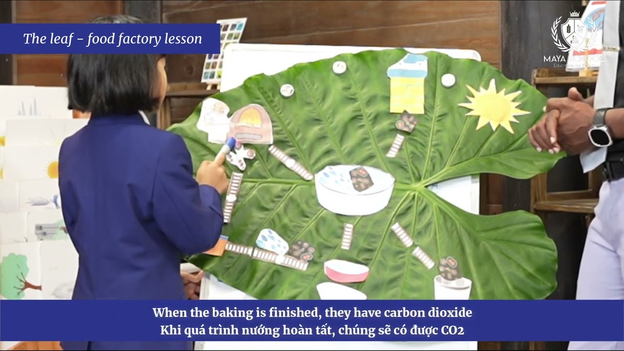 Leaf Food Factory Lesson