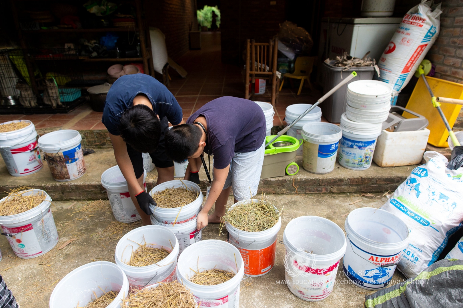 Học sinh THCS Maya chuẩn bị nguyên liệu trong Dự Án Học Tập hướng dẫn trồng nấm bằng phụ phẩm nông nghiệp