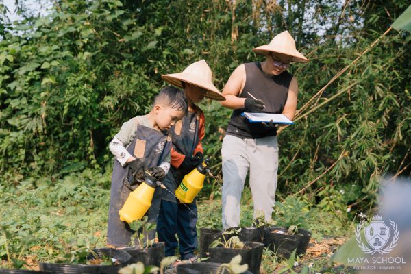 Trồng cây hoa màu theo mùa vụ đông – Cây dâu tây và cà chua – Dự án thực tế của học sinh Lower Elementary tại Xưởng Lá Mây