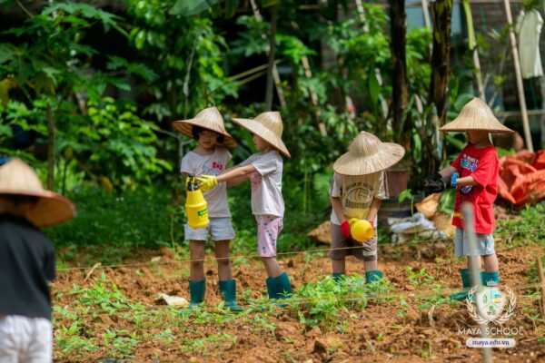 Dự án Trồng rau quả vụ Thu – Đông và Chăm sóc động vật của học sinh Lower Elementary tại Lá Mây Education Farm