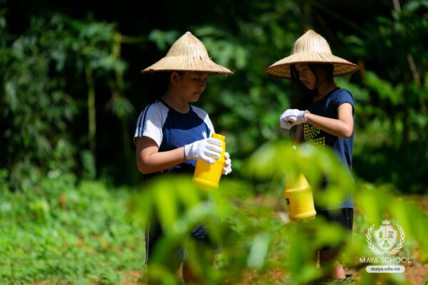 Dự án Trồng rau quả vụ Thu – Đông và Chăm sóc động vật của học sinh Upper Elementary tại Lá Mây Education Farm