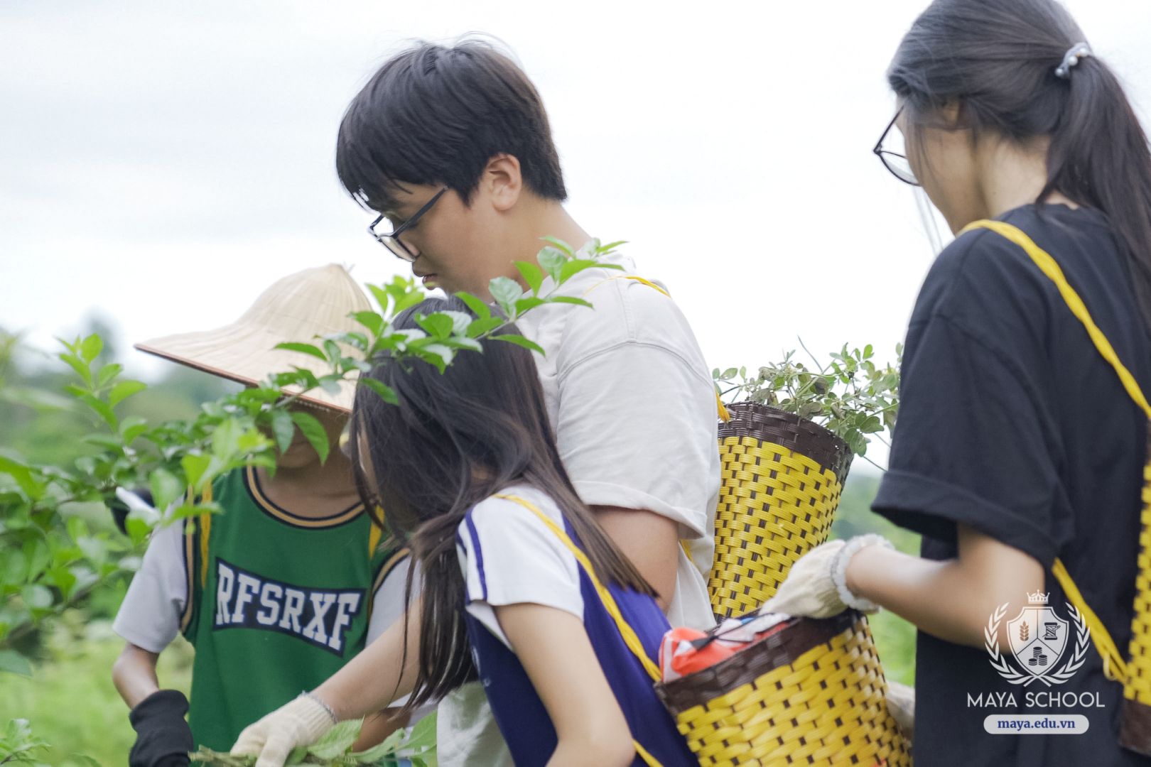 C0096.mp4 Snapshot 00.08.420