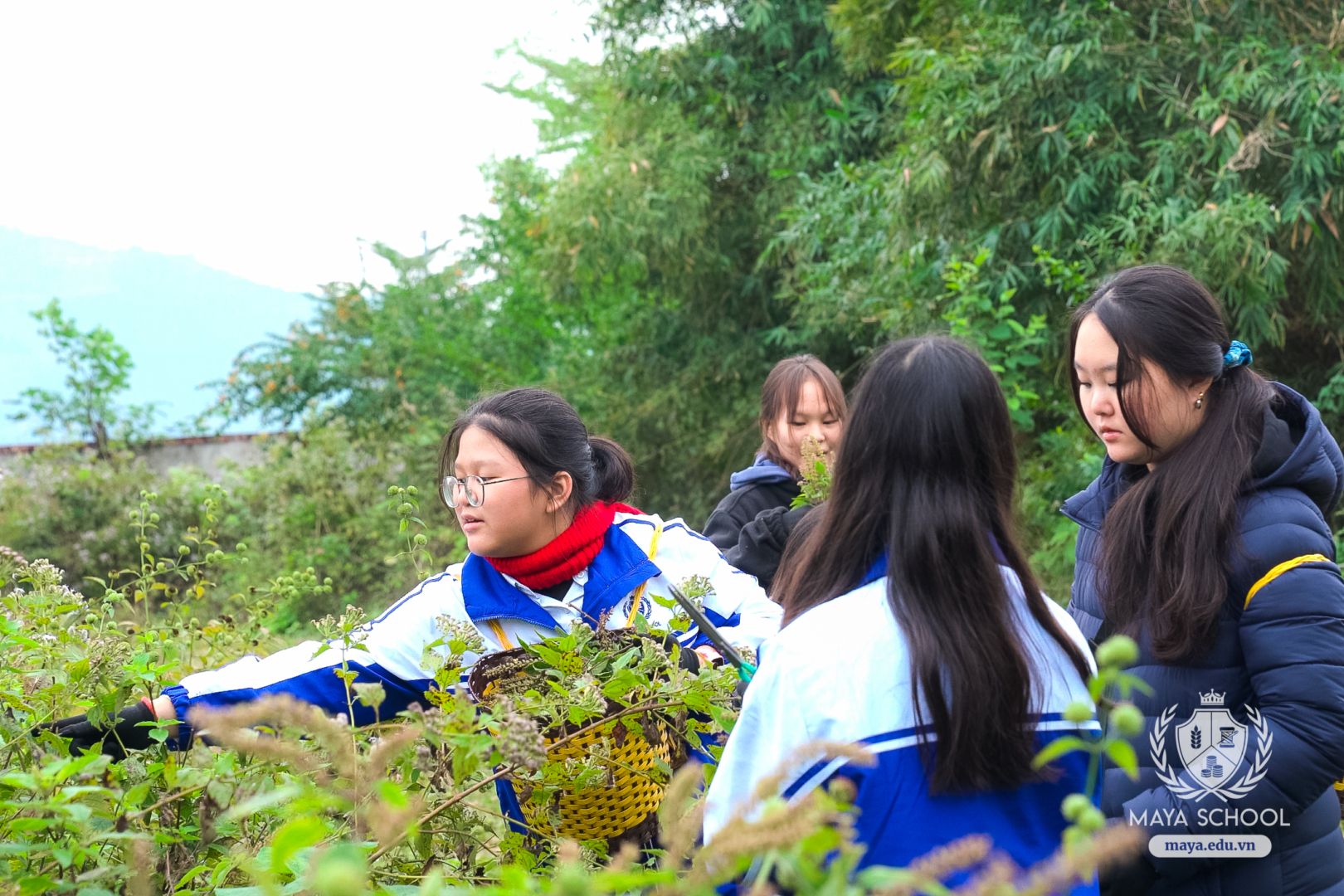 Screenshot 2026 01 08 At 20.19.23